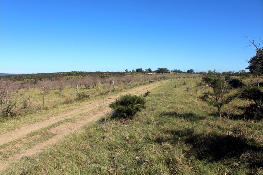 5 Bedroom Property for Sale in Mooiplaas Eastern Cape
